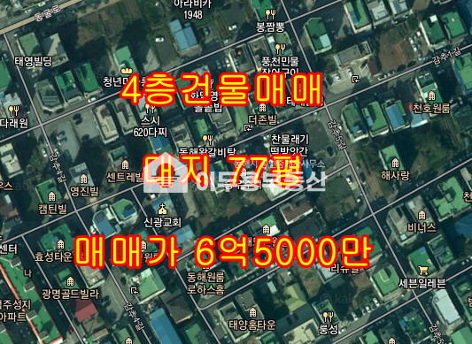 강원 동해시 천곡동 천곡동 감추길 통 상가매매 매매 매물번호 10667 사진 1