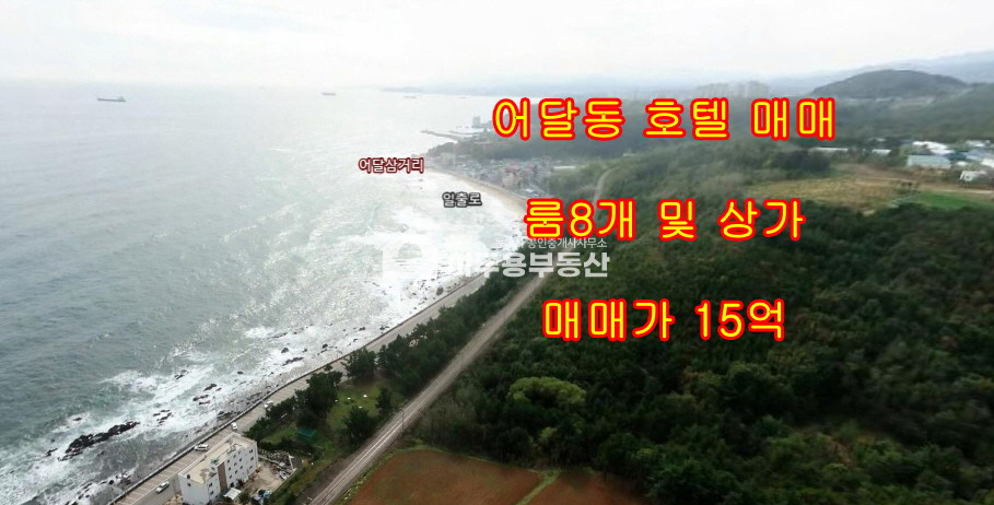 강원 동해시 천곡동 전망좋은 바닷가 앞 모텔 매매 매매 매물번호 10668 사진 1