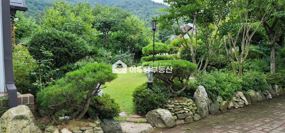 강원 동해시 만우동 만우동 단독주택,대지 159평 매매 매물번호 10740 사진 2