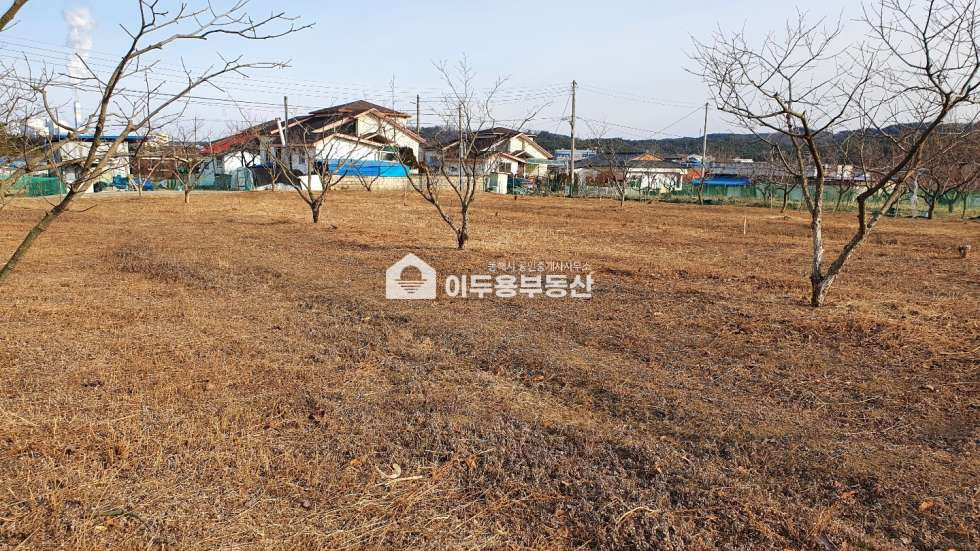 강원 동해시 지가동 지가동 단실가원길 단독주택지 매매 매물번호 10560 사진 2