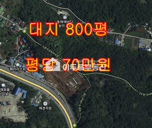 강원 동해시 효가동 효가동 산 14-4 효가동 자이 옆 토지 매매 매매 매물번호 10723 사진 1