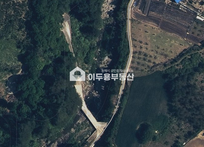 강원 삼척시 노곡면 상마읍리 노곡면 전포함 임야 입니다 매매 매물번호 10847 사진 1
